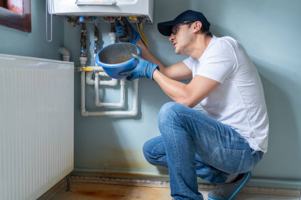 Best Local Plumber Services  in Montpelier, IN